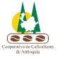catolica del norte